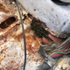 Illustration for article titled You Dont Know Rust Until You See What Passes For A Car In Canadaem/em
